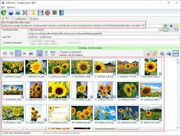 Bulk Image Downloader 6.19 Crack + Clave De Registro